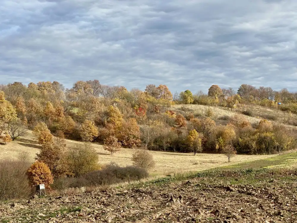 Nógrád megye - Berkenye