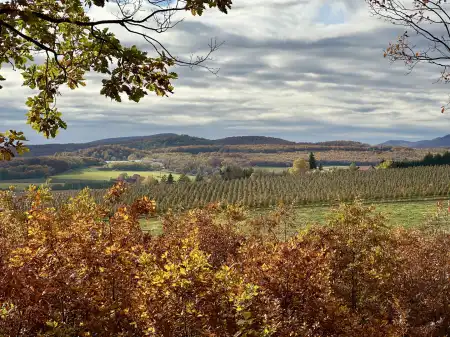 Eladó mezőgazdasági ingatlan, Berkenye 1 m² 33 M Ft